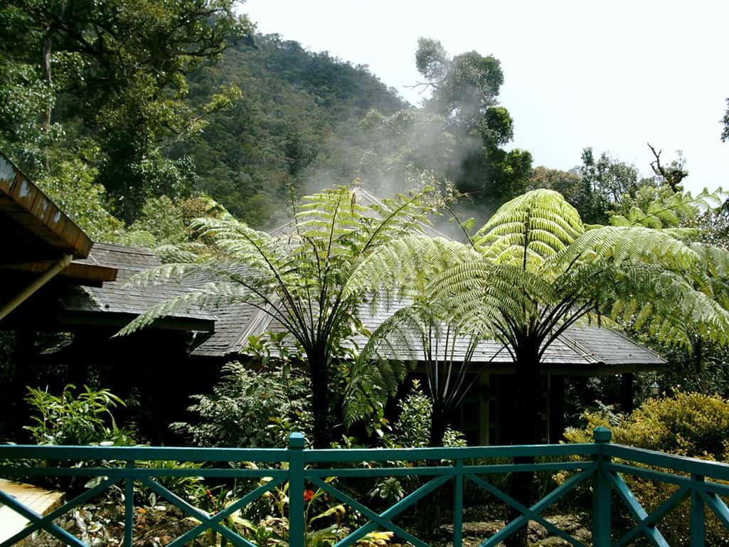 Il Borneo malese: la maestosità della foresta del Kinabalu